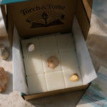 An open cardboard box labeled 'Torch & Tome' containing nine square white wax melts arranged in a grid, with three seashells placed on top. The box is photographed outdoors on a sandy surface with natural sunlight and shadows.