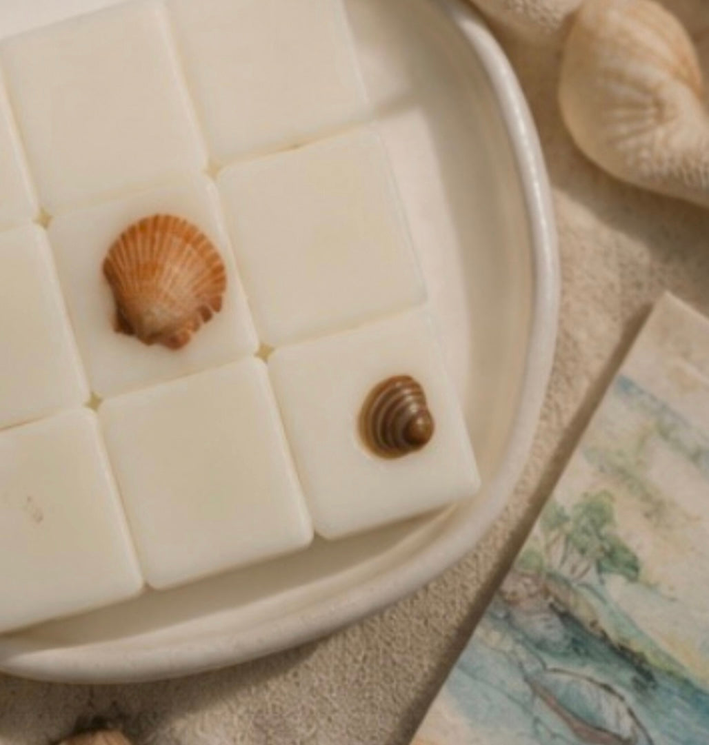 White square wax melts in a ceramic dish with decorative seashells, styled on a neutral textured surface.