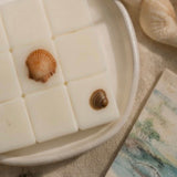 White square wax melts in a ceramic dish with decorative seashells, styled on a neutral textured surface.