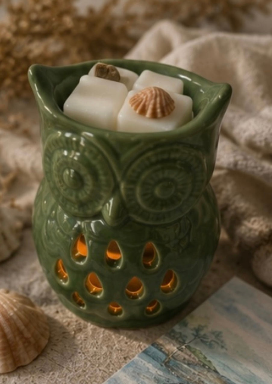 A green owl-shaped ceramic waxa melt warmer with cutout details, filled with white wax cubes and small seashell decorations, styled on a textured beige surface with dried flowers and fabric in the background.