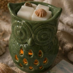 A green owl-shaped ceramic waxa melt warmer with cutout details, filled with white wax cubes and small seashell decorations, styled on a textured beige surface with dried flowers and fabric in the background.